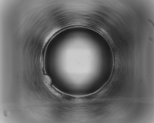 X0000103240796200808281440