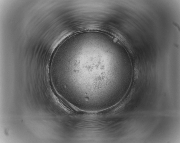 X0000103240798200808281440
