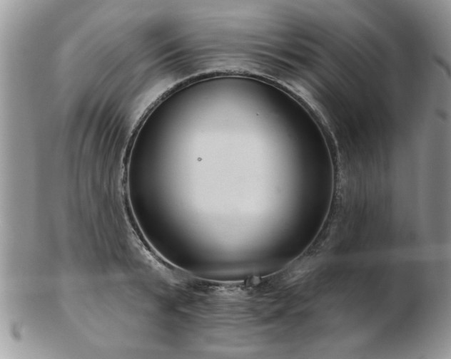X0000103240799200808281440