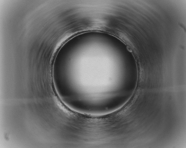 X0000103240800200808281440