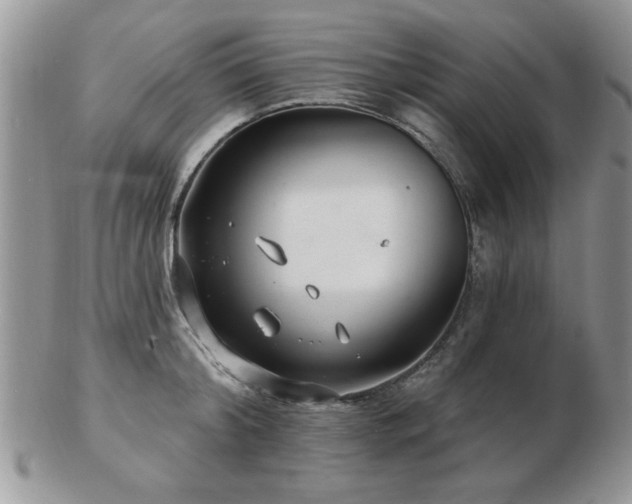 X0000103240804200808281440