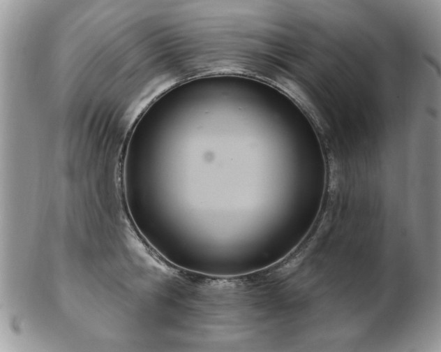 X0000103240806200808281440