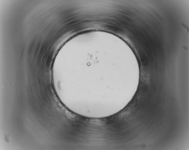 X0000103240807200808281440
