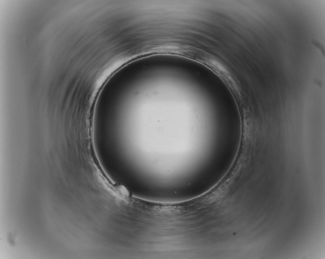 X0000103240808200808281440
