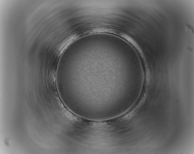 X0000103240809200808281440