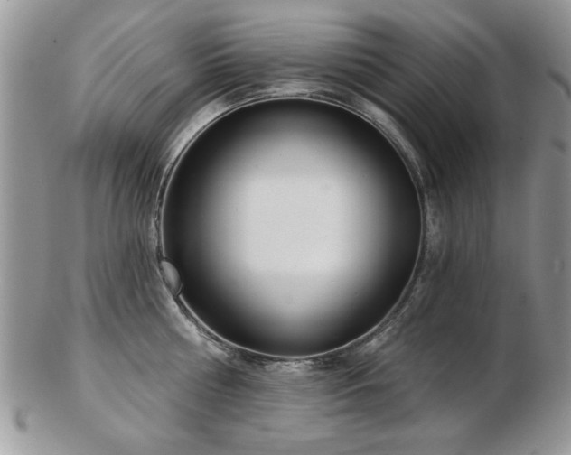 X0000103240810200808281440