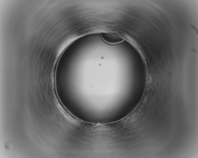 X0000103240811200808281440