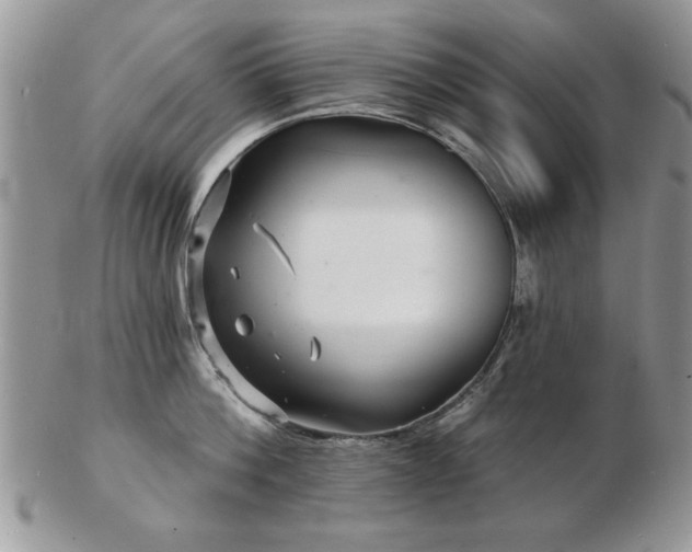 X0000103240812200808281440