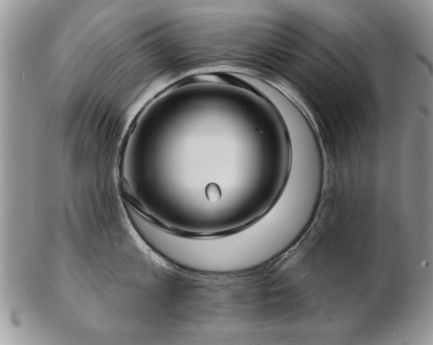 X0000103240813200808281440