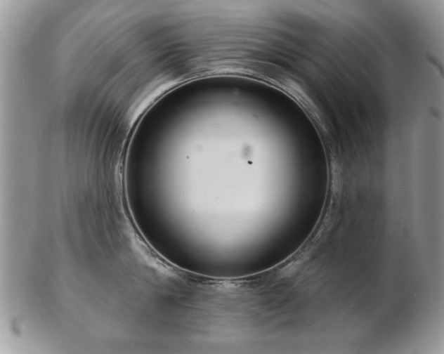 X0000103240814200808281440