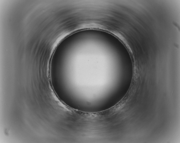 X0000103240815200808281440