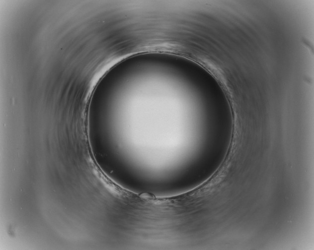 X0000103240816200808281440