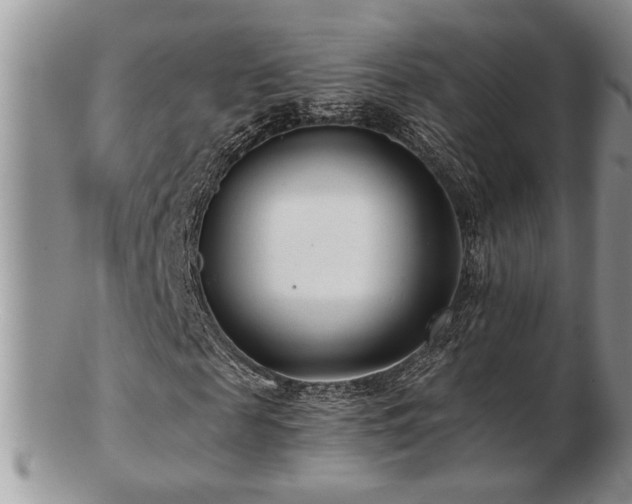 X0000103240817200808281439