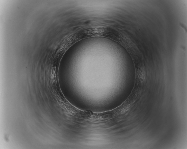 X0000103240818200808281439