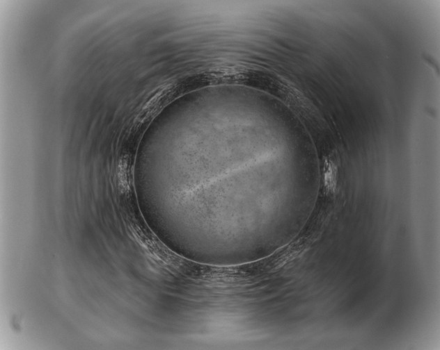 X0000103240819200808281439