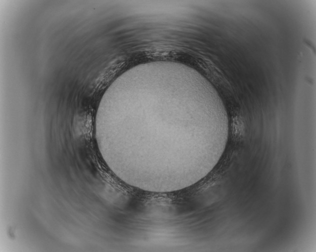 X0000103240820200808281439