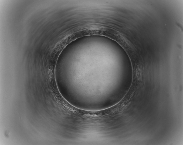 X0000103240821200808281439