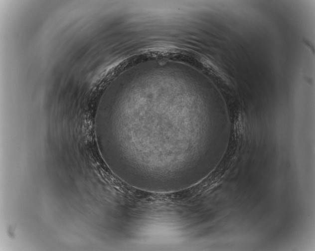 X0000103240822200808281439
