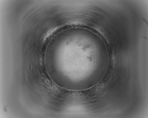 X0000103240823200808281439