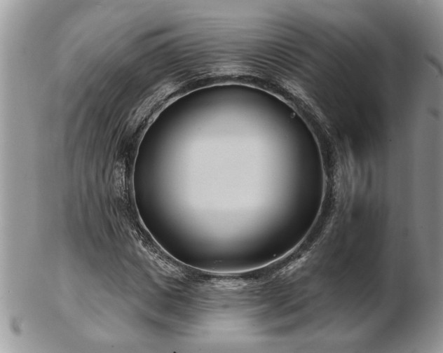 X0000103240825200808281439