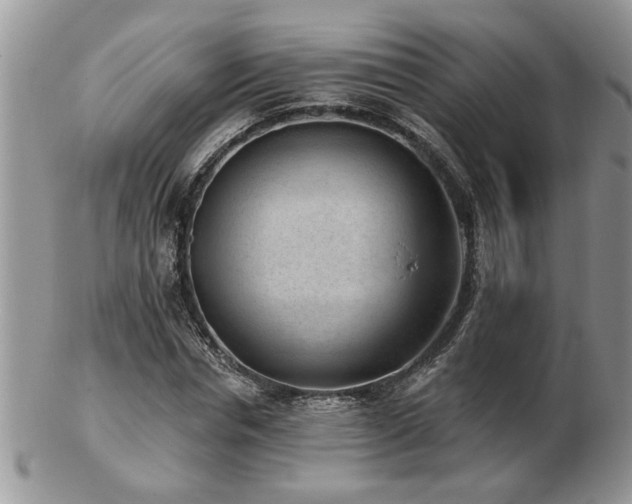 X0000103240826200808281439