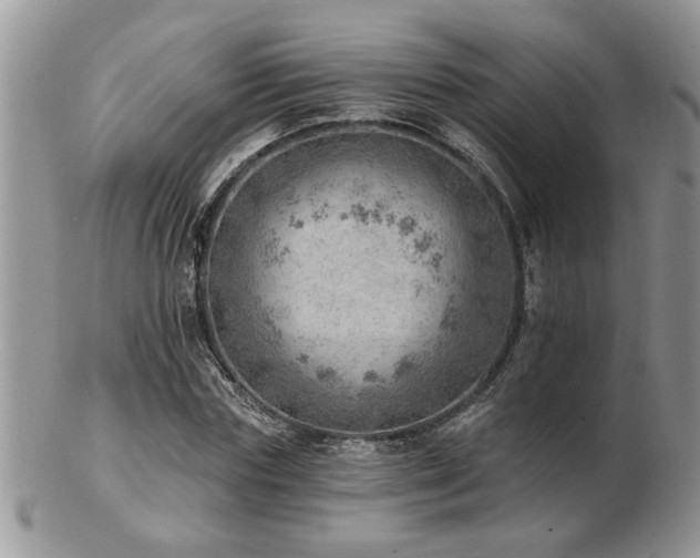 X0000103240827200808281439