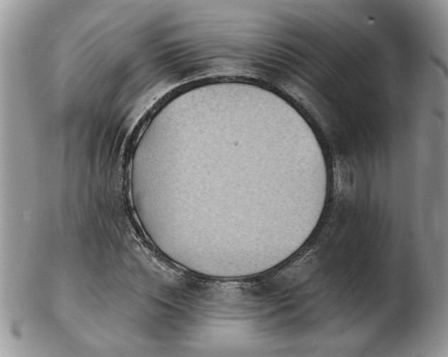 X0000103240828200808281439