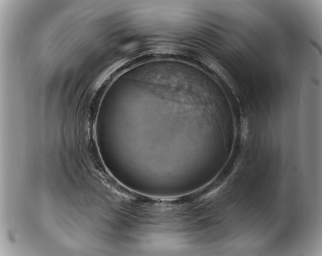 X0000103240829200808281439