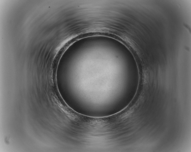 X0000103240830200808281439