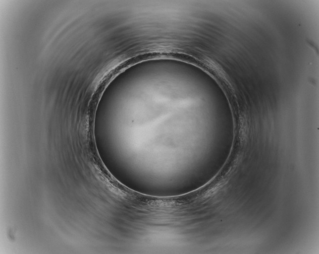 X0000103240831200808281439
