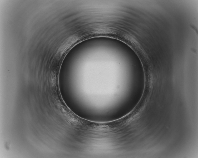 X0000103240833200808281439