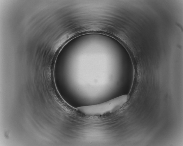 X0000103240834200808281439