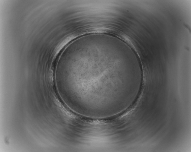 X0000103240835200808281439
