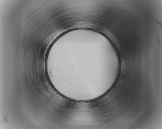 X0000103240836200808281439