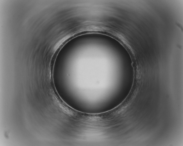 X0000103240837200808281439