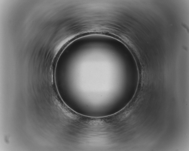 X0000103240838200808281439
