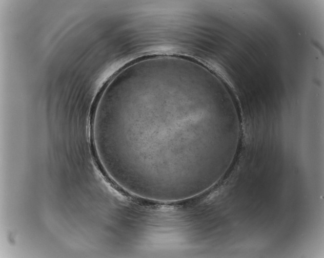 X0000103240839200808281439