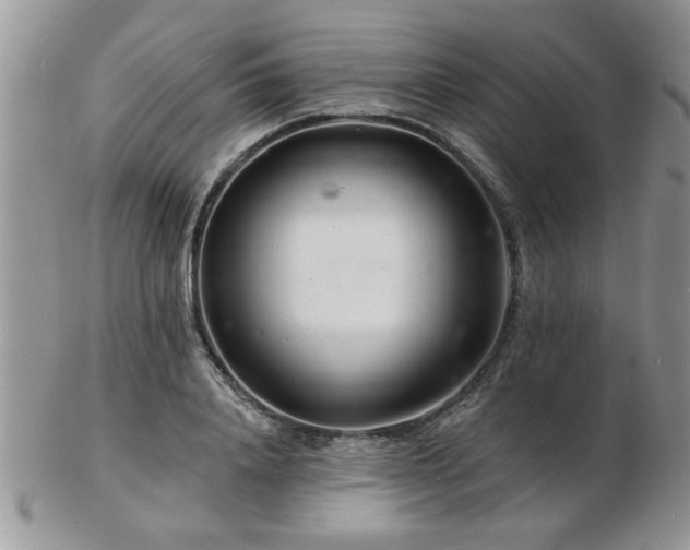 X0000103240840200808281439
