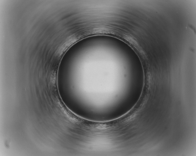 X0000103240841200808281439