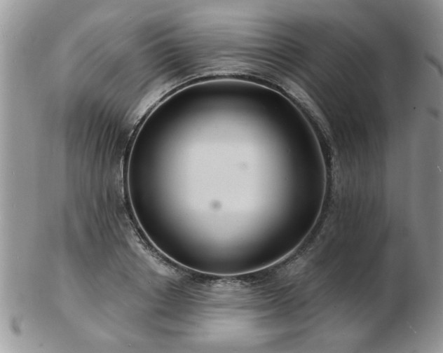 X0000103240842200808281439