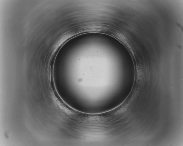 X0000103240843200808281439