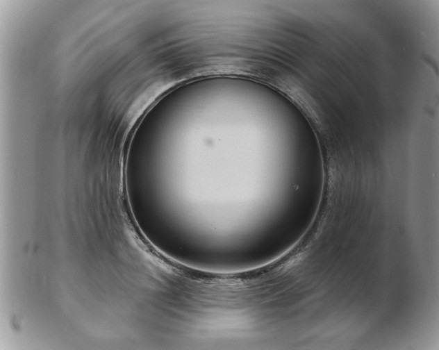 X0000103240844200808281439