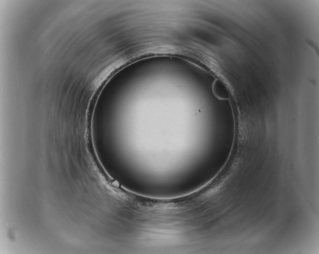 X0000103240845200808281439