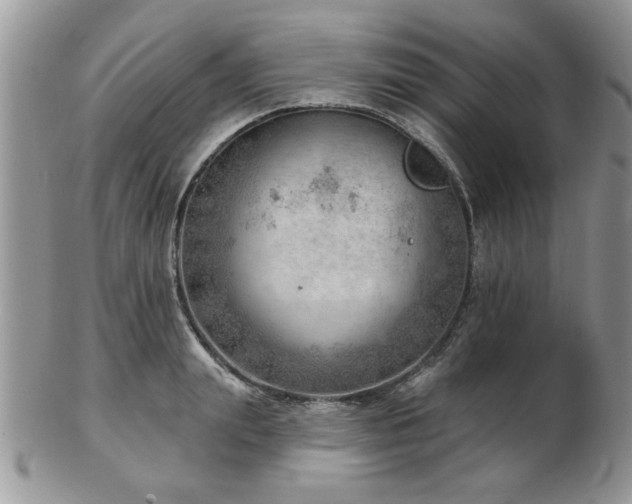 X0000103240847200808281439