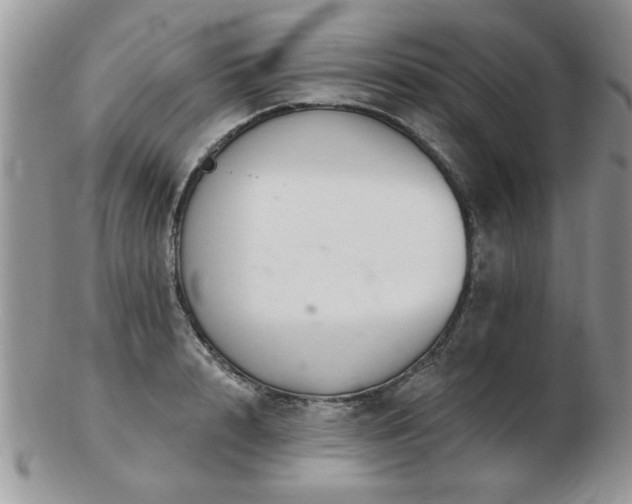 X0000103240848200808281439