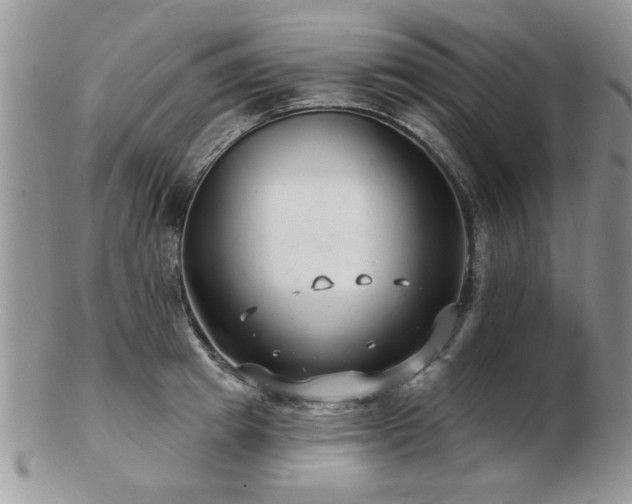 X0000103240849200808281439