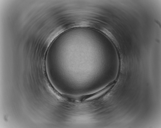 X0000103240850200808281439