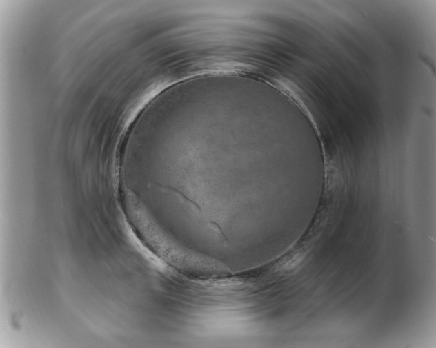 X0000103240851200808281439