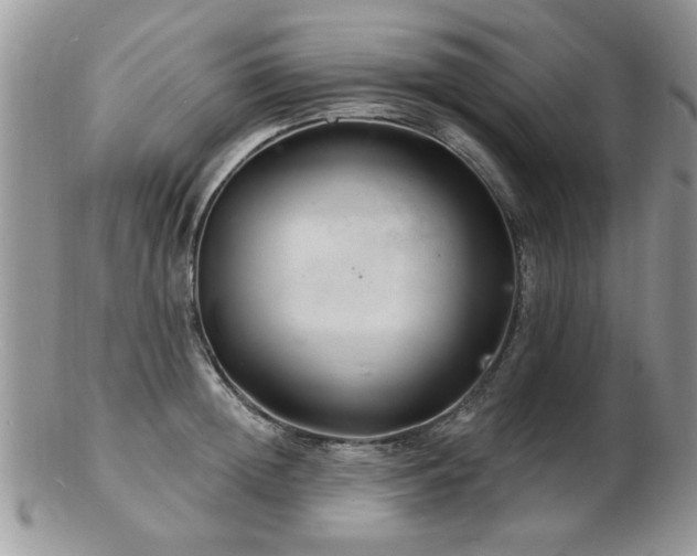 X0000103240852200808281439