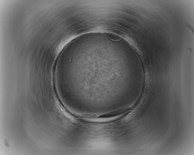 X0000103240854200808281439